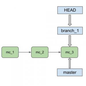 branch 1